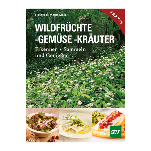 Buch „Wildfrüchte, -gemüse, -kräuter“