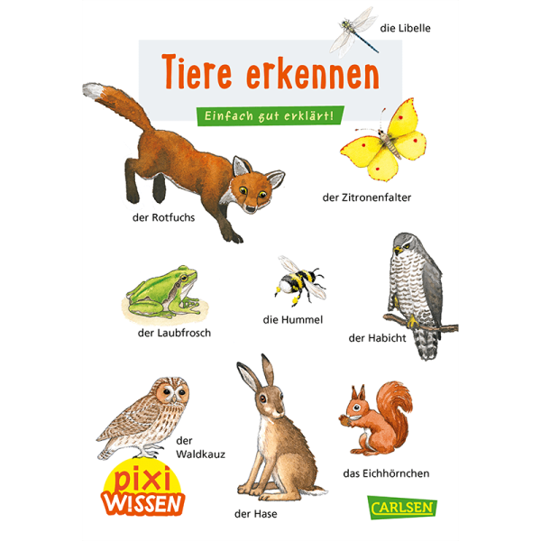 Kinderbuch "Pixi Wissen 30: Tiere erkennen"