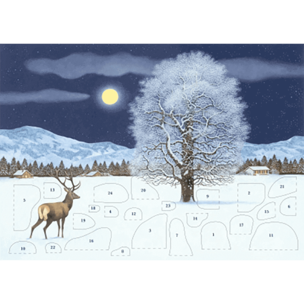 Adventskalender "Zauberhafte Winternacht"