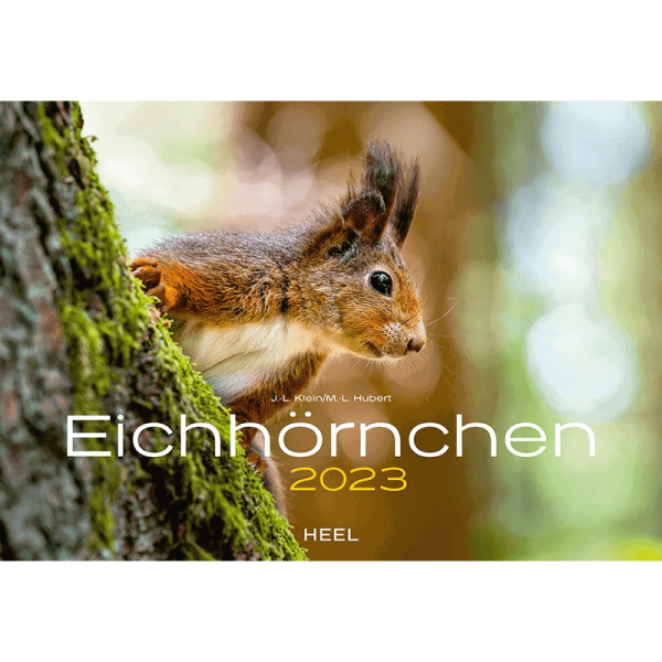 Kalender Eichhörnchen 2023