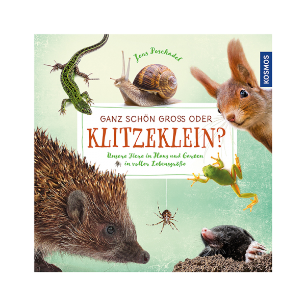 Kinderbuch "Ganz schön groß oder klitzeklein?“